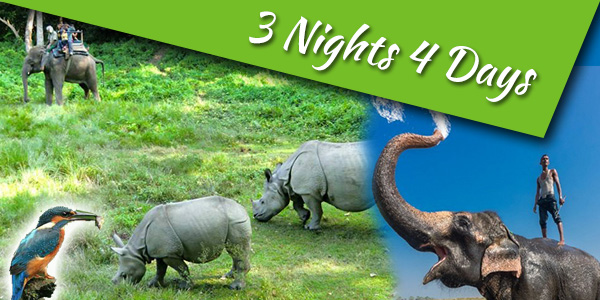 Advance package 3 Nights 4 days.