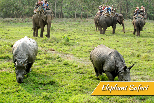 Advance package 3 Night 4 days