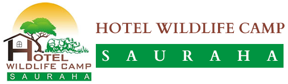 Hotel Wildlife Camp